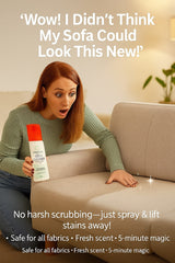 Sofa Stains Cleaner - Haverit