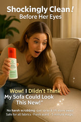 Sofa Stains Cleaner - Haverit