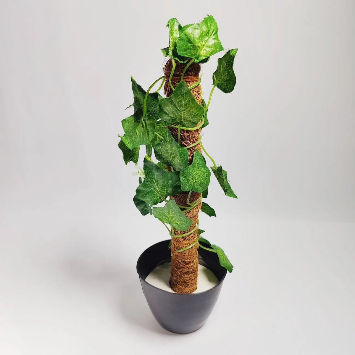 Artificial Money Plant leave with Coconut stick Decorative Flowers Plants best for Home and office DÃ©coration