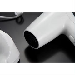 Wall mounted hair dryer