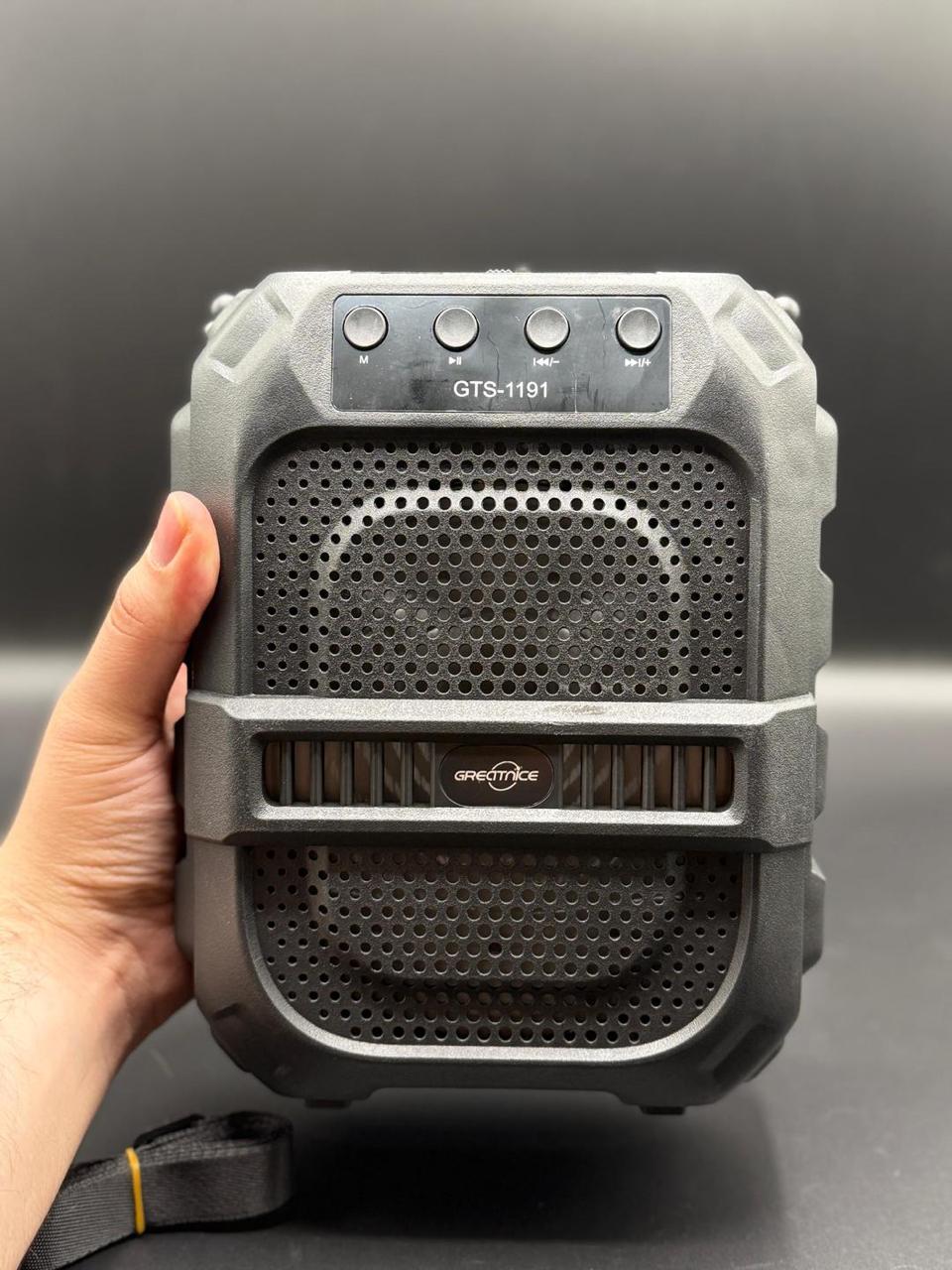 GTS-1191 10W Wireless Portable Bluetooth Speaker with 6.5" Subwoofer, FM Radio, 1200mAh Battery, Loud Volume, USB/AUX/TF Support, Belt Strap for Outdoor Travel, Party, Picnic, Camping Use